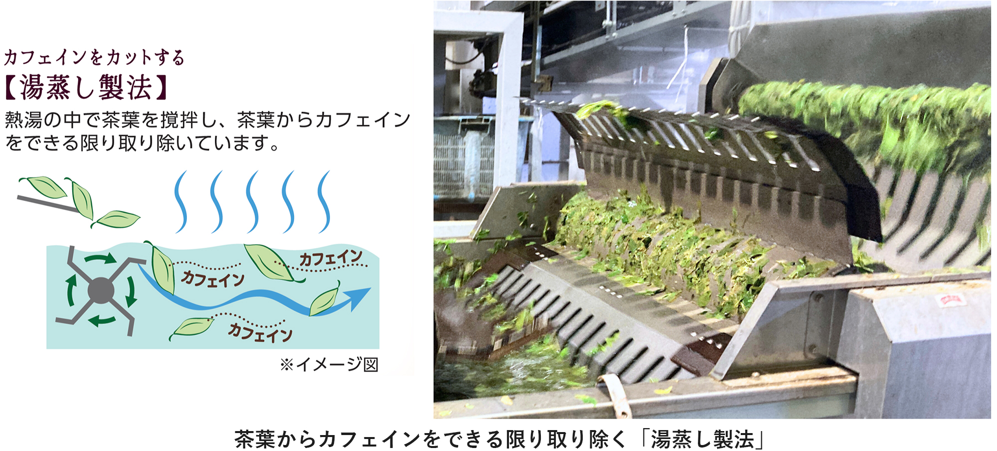 茶葉からカフェインをできる限り取り除く「湯蒸し製法」